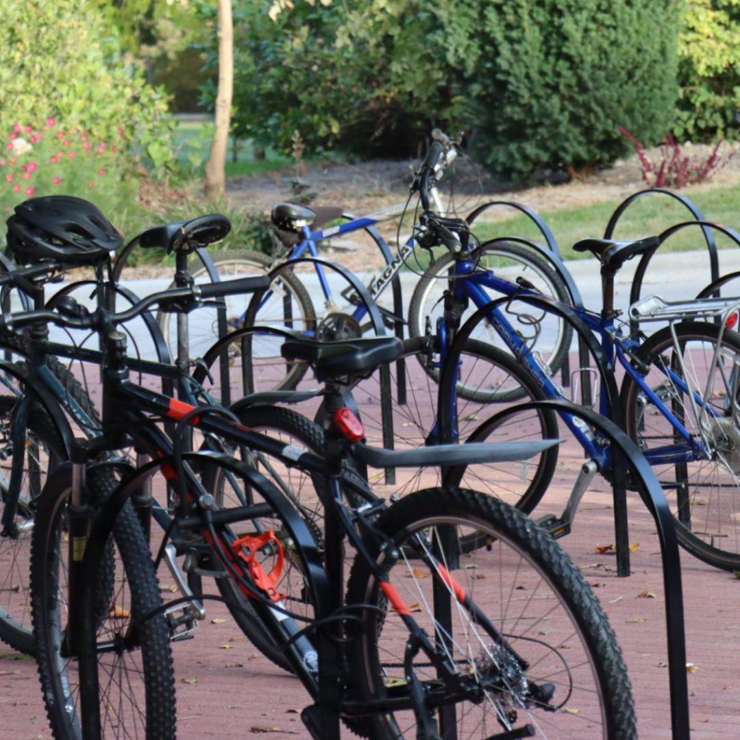 Bicycles on campus