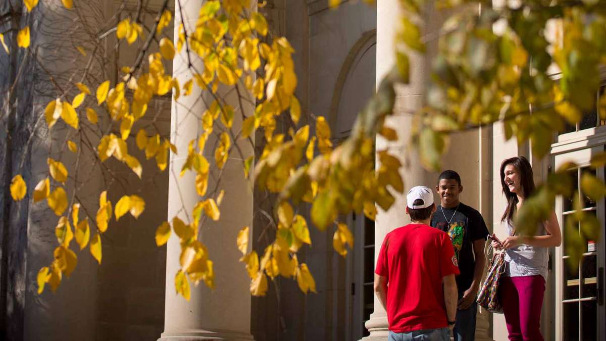 Multicultural Student Affairs